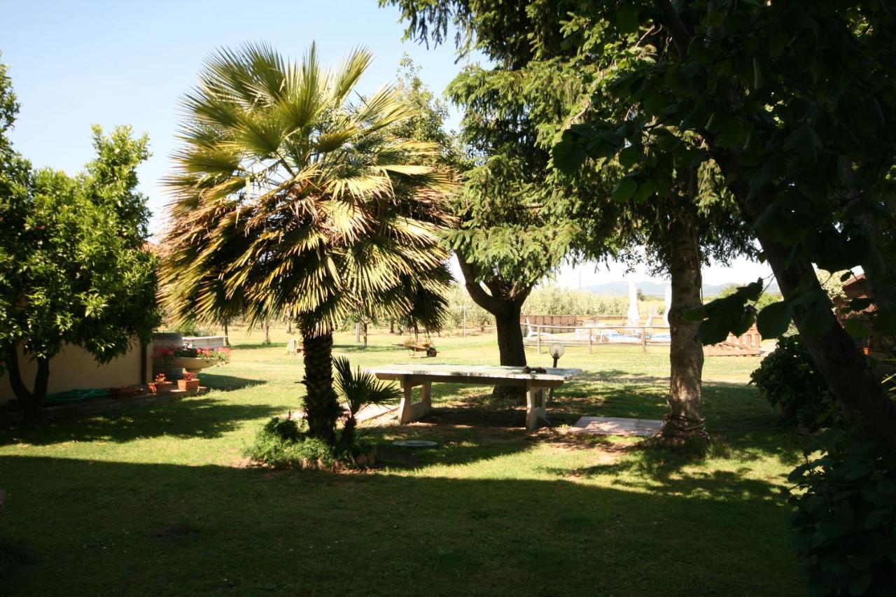 Podere Serena كاستاجنيتو كاردوتشي المظهر الخارجي الصورة