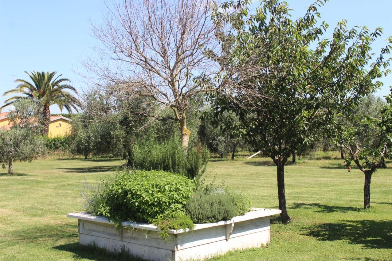 Podere Serena كاستاجنيتو كاردوتشي المظهر الخارجي الصورة